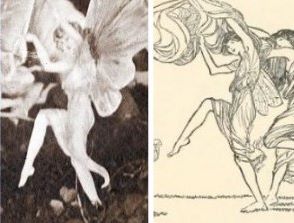 Comparison between Shepperson illustration and Cottingley Fairy Photo A