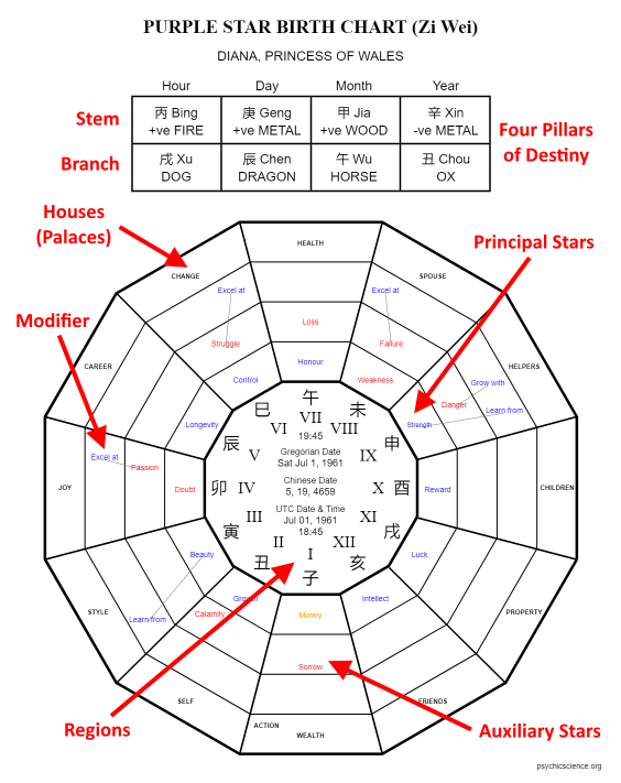 Purple Star Chart Example