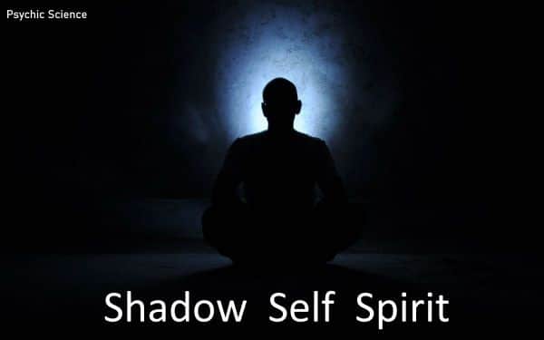 Shadow Self Spirit by Michael Daniels
