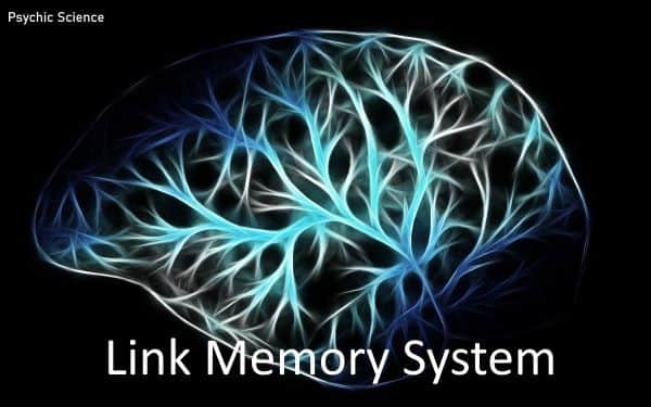 Link Memory System