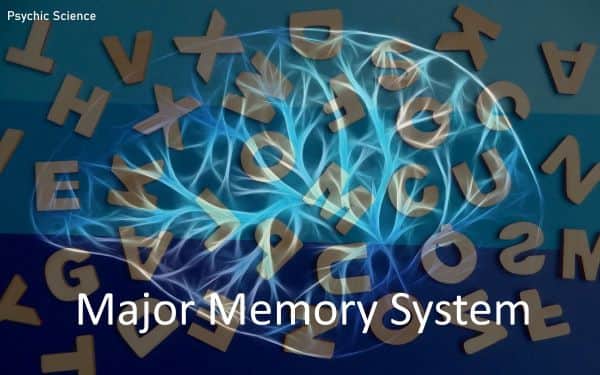 Major Memory System