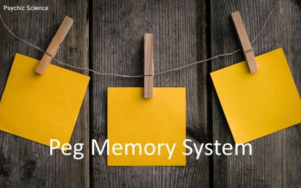 Peg Memory System