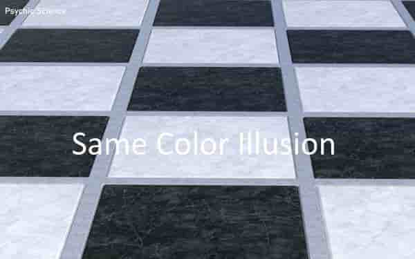 Same Color Illusion